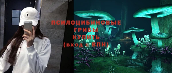 spice Абаза